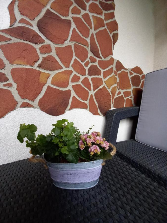 Apartmán Erika Bešeňová Exterior foto